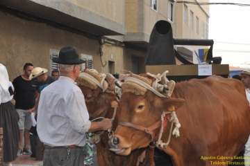 Romerías del Carmen en Marpequeña, Medianía y Las Huesas (Foto TF y TA)